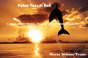 Lovina tour merta sedana rental
